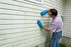 Best Siding Maintenance  in Coleytown, CT